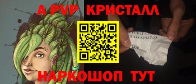 меф Кингисепп
