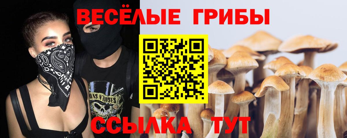 Усть-Кут  Галлюциногенные грибы Cubensis  Вход с VPN 